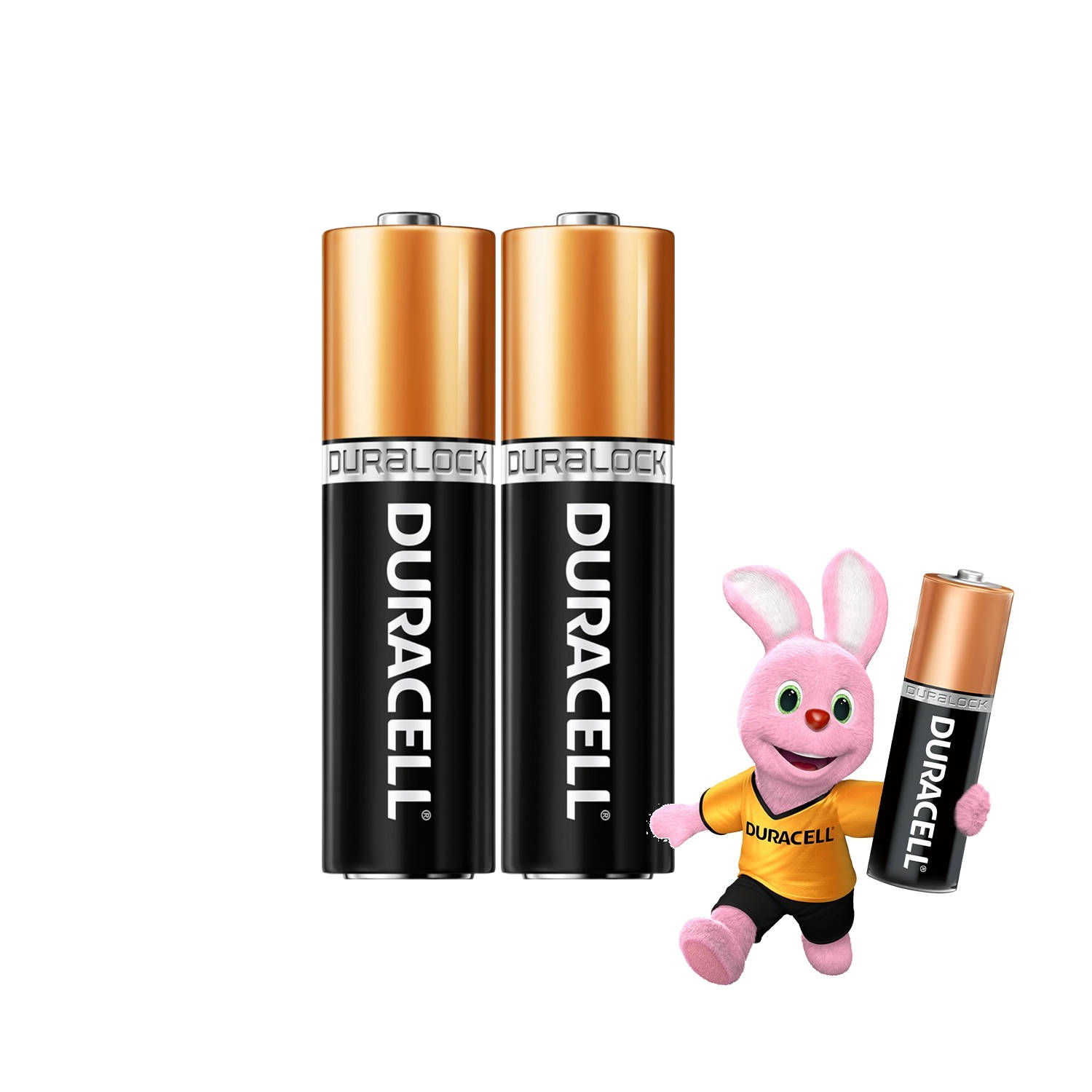 PILA AA ALCALINA DURACELL BLISTER X2