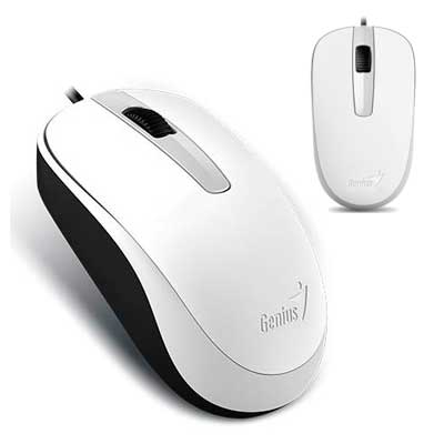 MOUSE GENIUS DX-120 USB 1200 DPI BLANCO MOUSE GENIUS DX-120 USB 1200 DPI BLANCO